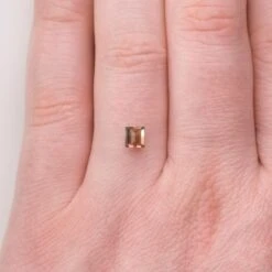 .70 Carat Watermelon Brilliant Cut Tourmaline Gemstone 11 .70 Carat Watermelon Brilliant Cut Tourmaline Gemstone -Point No Point Studio Store 0.70 350 7