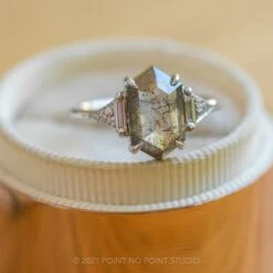 2.47 Carat Salt And Pepper Hexagon Diamond Engagement Ring, Azalea Setting, 14K White Gold 19 2.47 Carat Salt And Pepper Hexagon Diamond Engagement Ring, Azalea Setting, 14K White Gold -Point No Point Studio Store 20210617 SFS0216 c10a4566 438a 49c8 a104 cf32a58dc7c4