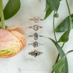 1.32 Carat Salt And Pepper Hexagon Diamond Engagement Ring, Sirena Setting, 14K White Gold 13 1.32 Carat Salt And Pepper Hexagon Diamond Engagement Ring, Sirena Setting, 14K White Gold -Point No Point Studio Store 20211202 SFS0095 fdc5b132 ab81 4c20 8e59 10bab4008f6f