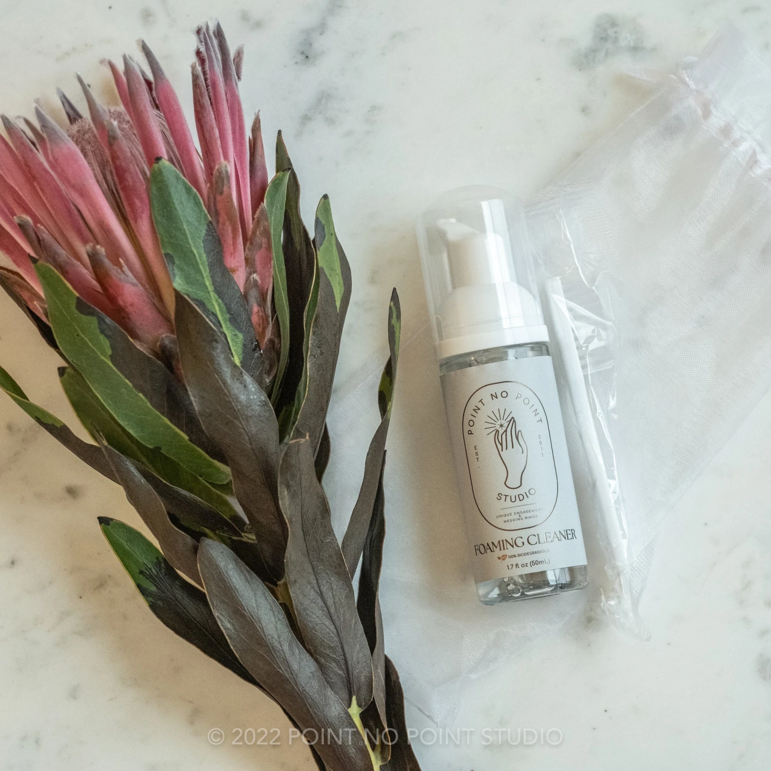 Foaming Cleaner - Shipped 2 Foaming Cleaner - Shipped - Image 2