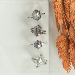 2.71 Carat Salt And Pepper Hexagon Diamond Engagement Ring, Ombre Jules Setting, 14K White Gold 12 2.71 Carat Salt And Pepper Hexagon Diamond Engagement Ring, Ombre Jules Setting, 14K White Gold -Point No Point Studio Store 20221020 SFS0136 f9698a9a d8e0 4ea0 978a 3e5802d36515