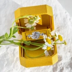 2.51 Carat Salt And Pepper Oval Diamond Engagement Ring, Ainsley Setting, Platinum 13 2.51 Carat Salt And Pepper Oval Diamond Engagement Ring, Ainsley Setting, Platinum -Point No Point Studio Store 20230208 SFS0112 6e60de94 3519 4bc5 bda7 d6e22c40500b