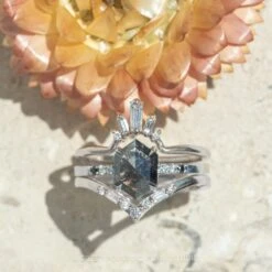 1.36 Carat Black Hexagon Diamond Engagement Ring, Ombre Jules Setting, Platinum 7 1.36 Carat Black Hexagon Diamond Engagement Ring, Ombre Jules Setting, Platinum -Point No Point Studio Store 20230714 SFS0098 956eca75 232e 4d93 9f9e 5609d1194ae9