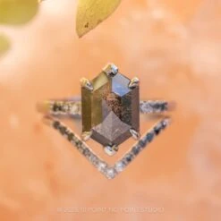 2.69 Carat Black Speckled Hexagon Diamond Engagement Ring, Ombre Sirena Setting, 14K White Gold 7 2.69 Carat Black Speckled Hexagon Diamond Engagement Ring, Ombre Sirena Setting, 14K White Gold -Point No Point Studio Store 20231006 SFS0085