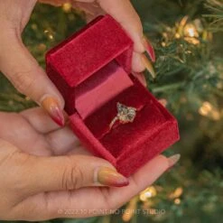 Velvet Madison Ring Boxes 27 Velvet Madison Ring Boxes -Point No Point Studio Store 20231024 SFS0022