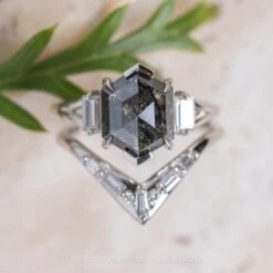 3.04 Carat Black Speckled Hexagon Diamond Engagement Ring, Split Shank Zoe Setting, Platinum 9 3.04 Carat Black Speckled Hexagon Diamond Engagement Ring, Split Shank Zoe Setting, Platinum -Point No Point Studio Store 20231102 SFS0035