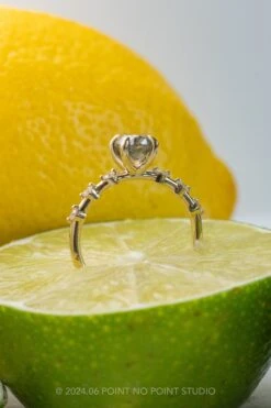 1.25 Carat Black Speckled Oval Diamond Engagement Ring, Nova Setting, 14K Yellow Gold 9 1.25 Carat Black Speckled Oval Diamond Engagement Ring, Nova Setting, 14K Yellow Gold -Point No Point Studio Store 20240626 SFS0127