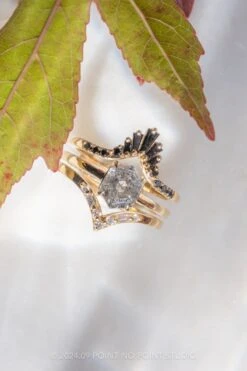 1.73 Carat Canadian Salt And Pepper Hexagon Diamond Engagement Ring, Lark Setting, 14k Yellow Gold -Point No Point Studio Store 20240919 SFS0074