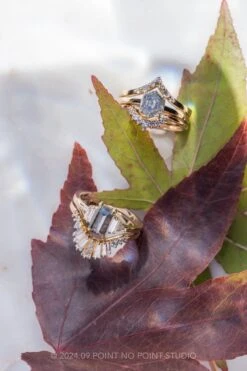 1.73 Carat Canadian Salt And Pepper Hexagon Diamond Engagement Ring, Lark Setting, 14k Yellow Gold -Point No Point Studio Store 20240919 SFS0076