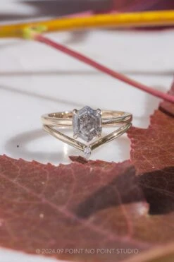 1.73 Carat Canadian Salt And Pepper Hexagon Diamond Engagement Ring, Lark Setting, 14k Yellow Gold -Point No Point Studio Store 20240919 SFS0100