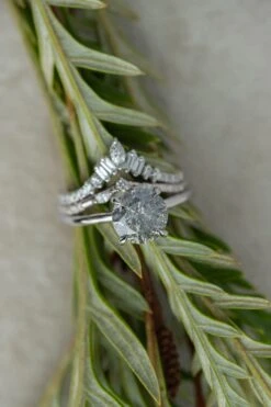 Extra Diamond Wren Wedding Band, 14k White Gold -Point No Point Studio Store 20241126 SFS0078 960768e3 0647 48eb 867a ed86912a0c7d