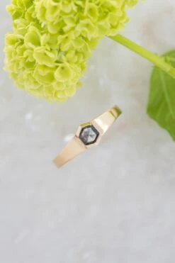 Black Speckled Hexagon Diamond Mens Wedding Band, Cygnus Setting, 14k Yellow Gold 9 Black Speckled Hexagon Diamond Mens Wedding Band, Cygnus Setting, 14k Yellow Gold -Point No Point Studio Store 20250502 SFS0053