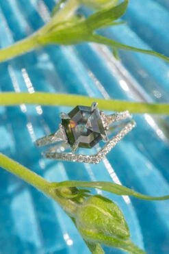 2.72 Carat Black Hexagon Diamond Engagement Ring, Eliza Setting, 14k White Gold -Point No Point Studio Store 20250711 SFS0098