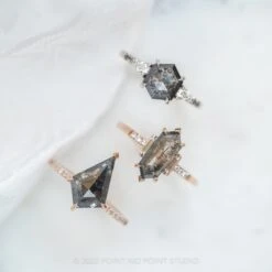 1.40 Carat Black Speckled Hexagon Diamond Engagement Ring, Ombre Eliza Setting, Platinum 17 1.40 Carat Black Speckled Hexagon Diamond Engagement Ring, Ombre Eliza Setting, Platinum -Point No Point Studio Store 220009WG 5 322e1e6a 5d60 41df ab23 f99e283860de