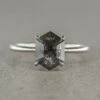 1.60 Carat Black Speckled Hexagon Diamond Engagement Ring, Jane Setting, 14K White Gold