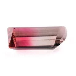 3.69 Carat Bi-Color Double Cut Geometric Tourmaline -Point No Point Studio Store 3.69 275 3